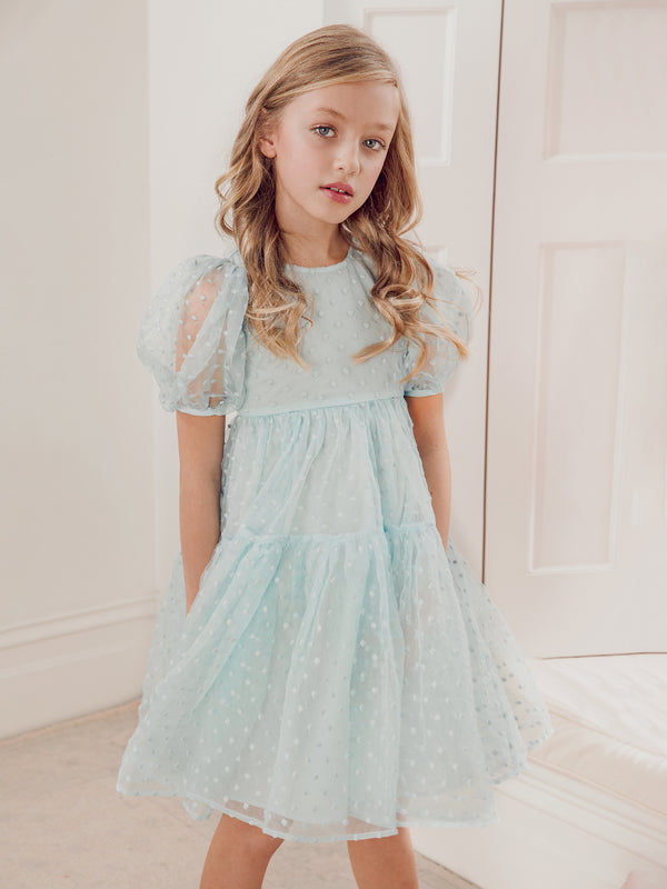 Petite Amalie Ella Embroidered Dot Dress - Dresses