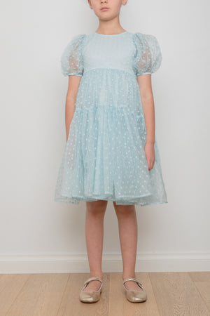 Petite Amalie Ella Embroidered Dot Dress - Dresses